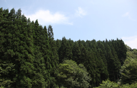We manufacture out of our own factory in Kiso,Nagano using local material such as the Kiso Sawara and Hinoki.