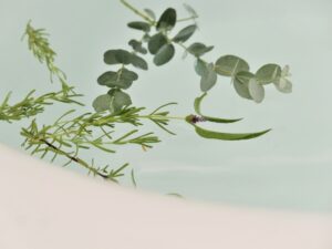 ハーブスパイス湯